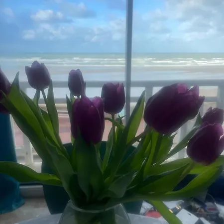 Belle Vue Sur La Apartment